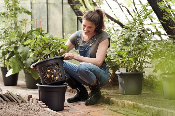 green basics pot de pommes de terre 33cm living noir